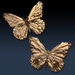 Maple Leaf