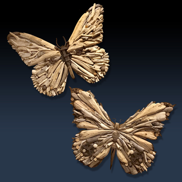 Butterflies