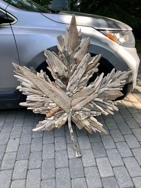 Maple Leaf