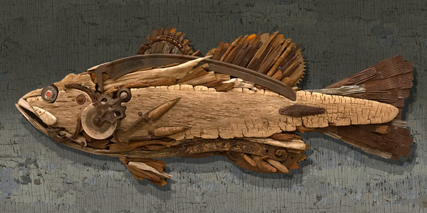Pulley Fish